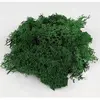 Image de Mousse verte 15 g - Accessoires maquettes céramique Aedes-2403