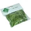 Image de Modélisme : Matériel de flocage : Mousse vert clair Aedes -2403A