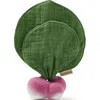 Image de Doudou de dentition 2 en 1 Ramona le radis