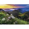 Image de Puzzle 500 pièces : Malá Fatra Dino-502703