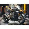 Image de Puzzle 500 pièces : Moto Dino-502772