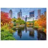 Image de Puzzle 500 pièces : Central Park Dino-502987