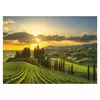 Image de Puzzle 500 piÃ¨ces XL : Vignobles de la Maremme