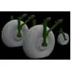 Image de Roues Lancaster pour HKM 632144