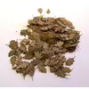 Image de Feuilles d'érable - couleurs supplémentaires 288