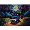 Image de Puzzle 1000 pièces : Une nuit en Transylvanie ArtPuzzle-5255