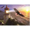 Image de Puzzle 1000 piÃ¨ces : Vol en hauteur au lever du soleil