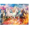 Image de Puzzle 1000 pièces : Liberté ANA1180