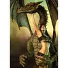 Image de Puzzle 1000 piÃ¨ces : Femme et Dragon