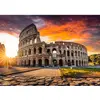 Image de Puzzle 1000 pièces : Rome Magnolia-2333