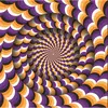 Image de Puzzle 1050 pièces : Illusion d'optique Magnolia-3005