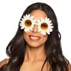 Image de Lunettes fantaisie Party - Daisy 44542