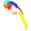 Image de Perroquet tweets 52354
