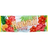 Image de Bannière - Hawaï Party - Paradise 52481