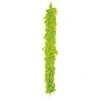 Image de Boa Plumes Vert 52710
