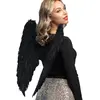 Image de Paire D'Ailes Noires - accessoire Halloween 52815BOL