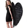 Image de Ailes Noir d'Ange Déchu 52817