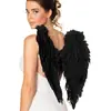 Image de Ailes d'ange pliées noires - Femme 52821