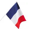 Image de Drapeau FRANCE 30x45cm avec manche 62038BOL
