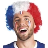 Image de Perruque Afro Supporter France 62045