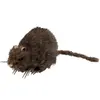 Image de Décoration Rat 72162