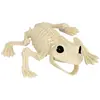 Image de Squelette de Grenouille RDLF-72408