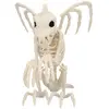 Image de Squelette Gargouille RDLF-72422