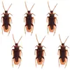 Image de Lot de 6 Blattes cafards en plastique 7,5cm 73053BOL