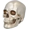 Image de Tête de mort : Shine RDLF-73090