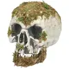Image de Tête de mort des marais 73099BOL