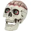 Image de Tête de mort : Brain-dead avec machoire mobile RDLF-73213
