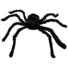 Image de Aglaé L'Araignée 74394