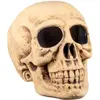 Image de Tête de mort : Masterbrain RDLF-74522