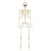 Image de Décoration suspendue Squelette skinny 74547BOL