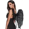 Image de Ailes d'ange noires 74583