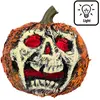 Image de Citrouille flash RDLF-74594