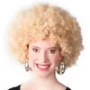 Image de Perruque afro blonde 86013BOL