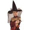 Image de Chapeau De Sorcière 96985