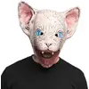 Image de Masque tête latex Chat Horreur 97615BOL