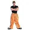Image de Pantalon 1001 nuits - Or FETE-601177