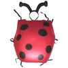 Image de Set De Coccinelle 57203