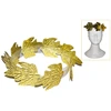 Image de Couronne de lauriers 60086