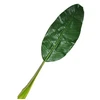 Image de Feuille Géante de Bananier (101cm) 64560