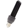 Image de Lumière Noire UV 84667