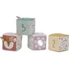 Image de Lot de 4 cubes doux Fairy Garden