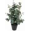 Image de Plante artificielle Present Time Eucalyptus Leaf Vert 25x54 cm PT4122