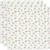 Image de Lot de 3 langes en coton Roarsome (70 x 70 cm)