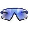Image de Lunettes de Rogelli Switch 009-263-300 Bleu TU