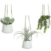 Image de Plante d'intérieur succulent artificielle à accrocher BigBuy Home Blanc TU S7922400