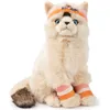 Image de Peluche Dolly le Ragdoll (32 cm)